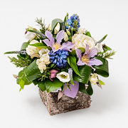 Bark Cube Arrangement